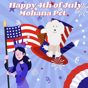 Meet your Posher, Mohana